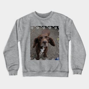 Brown Dog Crewneck Sweatshirt